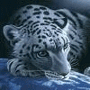 avatar for Otttoz@mastodon.uno