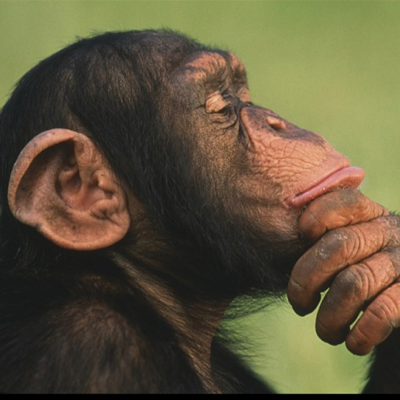 avatar for AnnaAnthro@mastodon.social