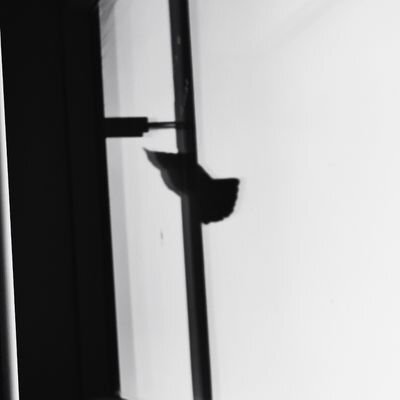 avatar for burcu_giray@mastodon.social