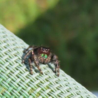 avatar for bjkingape@mastodon.online