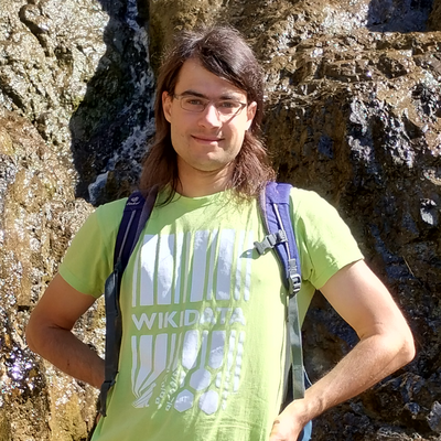 avatar for LucasWerkmeister@wikis.world