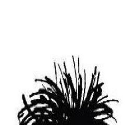 avatar for la_r_go@mastodon.bida.im