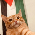 avatar for JepM13