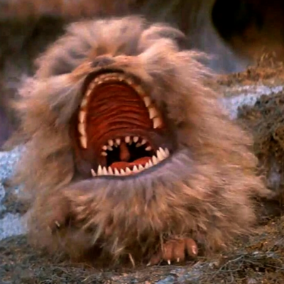 avatar for moira@mastodon.murkworks.net