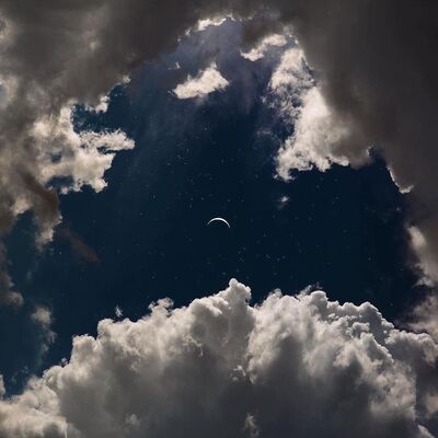 avatar for filobus@sociale.network