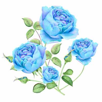 avatar for e_ardincaple@me.dm