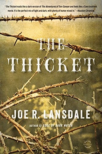 Joe R. Lansdale: The Thicket (Paperback, 2014, Mulholland Books)