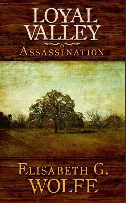 Elisabeth G. Wolfe: Assassination (Paperback, 2013, Createspace)