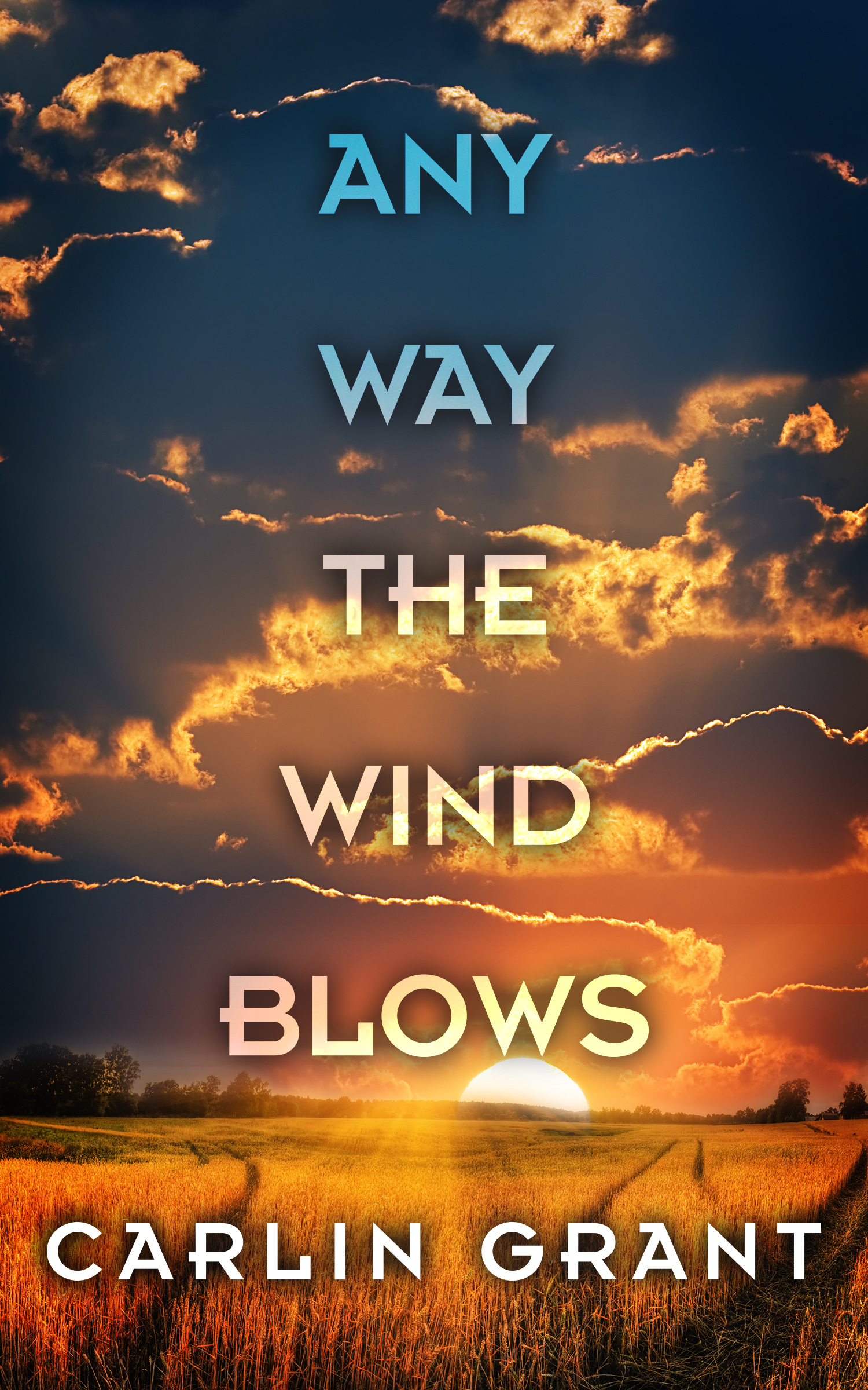 Carlin Grant: Any Way the Wind Blows (EBook, 2016, Less Than Three Press)