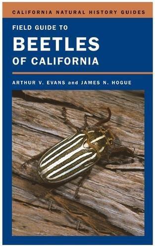 Arthur V. Evans: Field guide to beetles of California (2006)