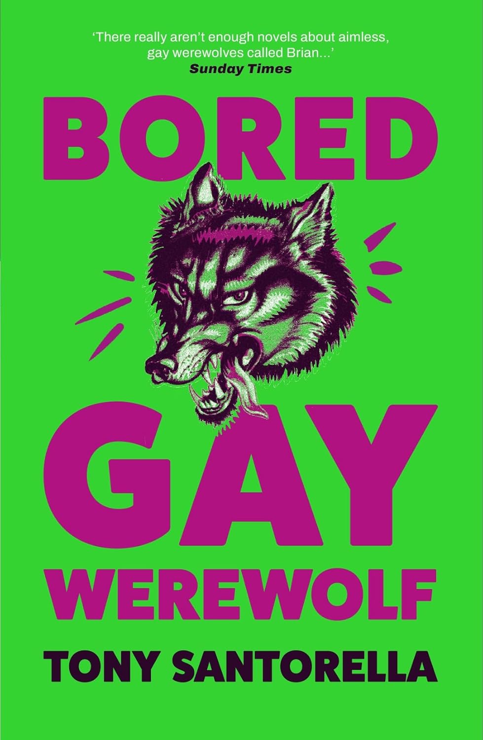 Tony Santorella: Bored Gay Werewolf (2023, Atlantic Books, Limited)