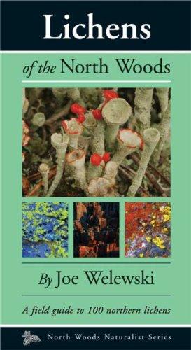 Joe Walewski: Lichens of the North Woods (North Woods Naturalist Series) (Paperback, 2007, Kollath-Stensaas)