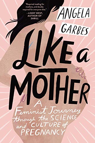 Angela Garbes: Like a Mother (Paperback, 2019, Harper Wave)