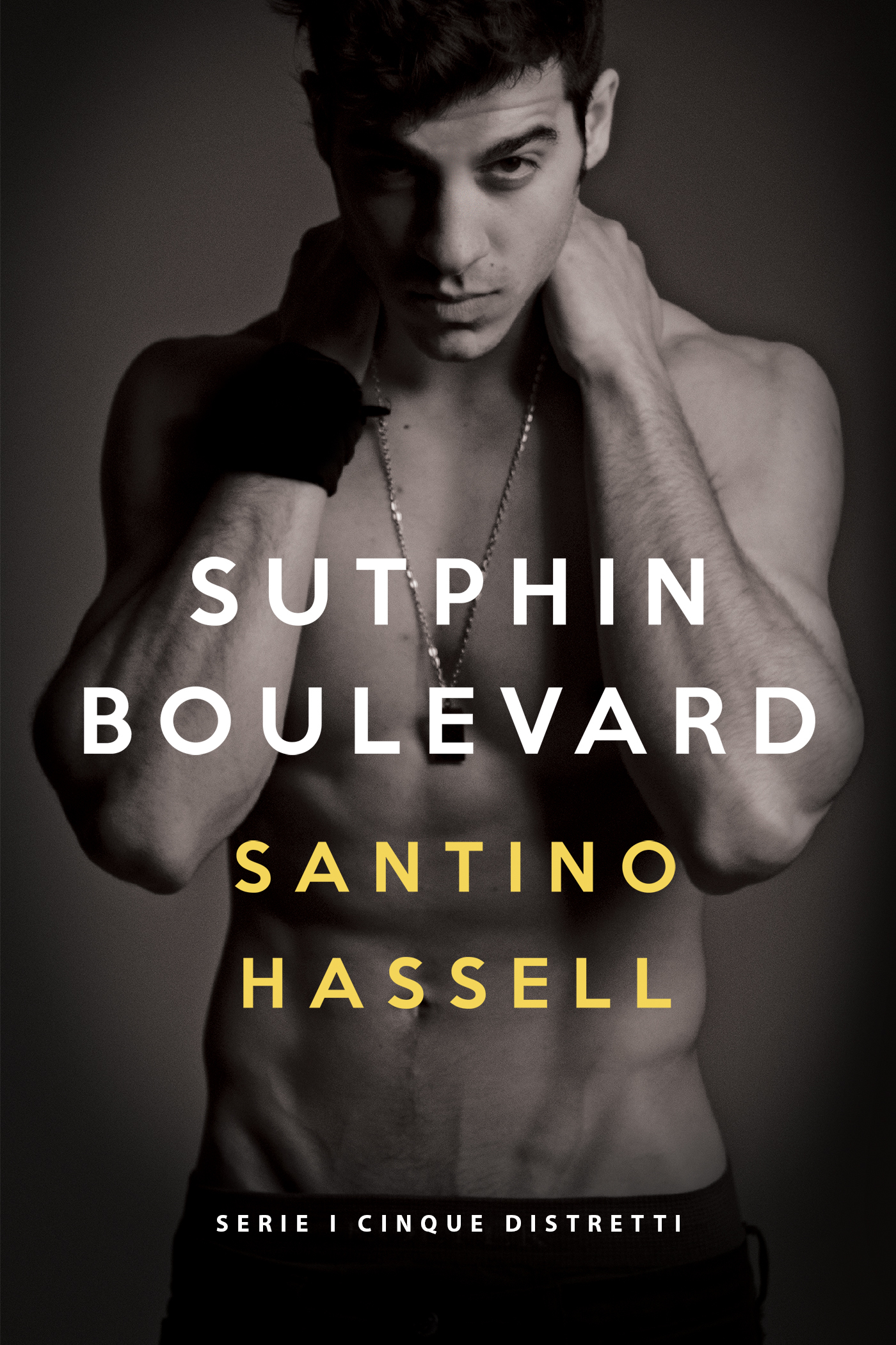 Santino Hassell: Sutphin Boulevard (EBook, Italiano language, 2017, Dreamspinner Press)