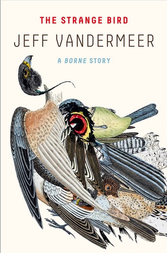 Jeff VanderMeer: The Strange Bird (Paperback, 2019, McClelland & Stewart)
