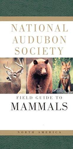 National Audubon Society: National Audubon Society field guide to North American mammals (1996)