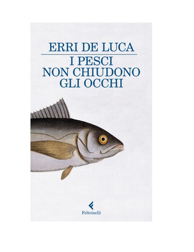 Erri De Luca: I pesci non chiudono gli occhi (Italian language, 2011, Feltrinelli)