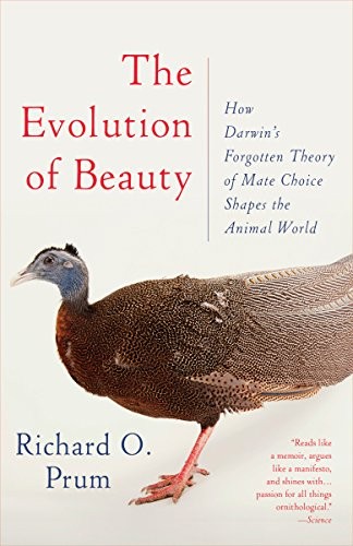 Richard O. Prum: The Evolution of Beauty (Paperback, 2018, Anchor)