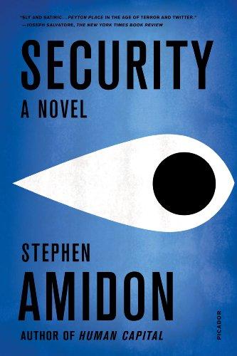 Stephen Amidon: Security (Paperback, Picador)