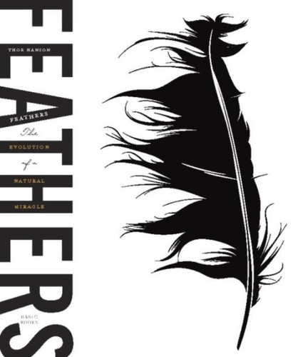 Thor Hanson: Feathers (Paperback, 2012, Basic Books)