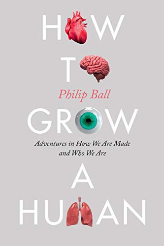 Phillip Ball: How to Grow a Human (Hardcover, 2019, University of Chicago Press)