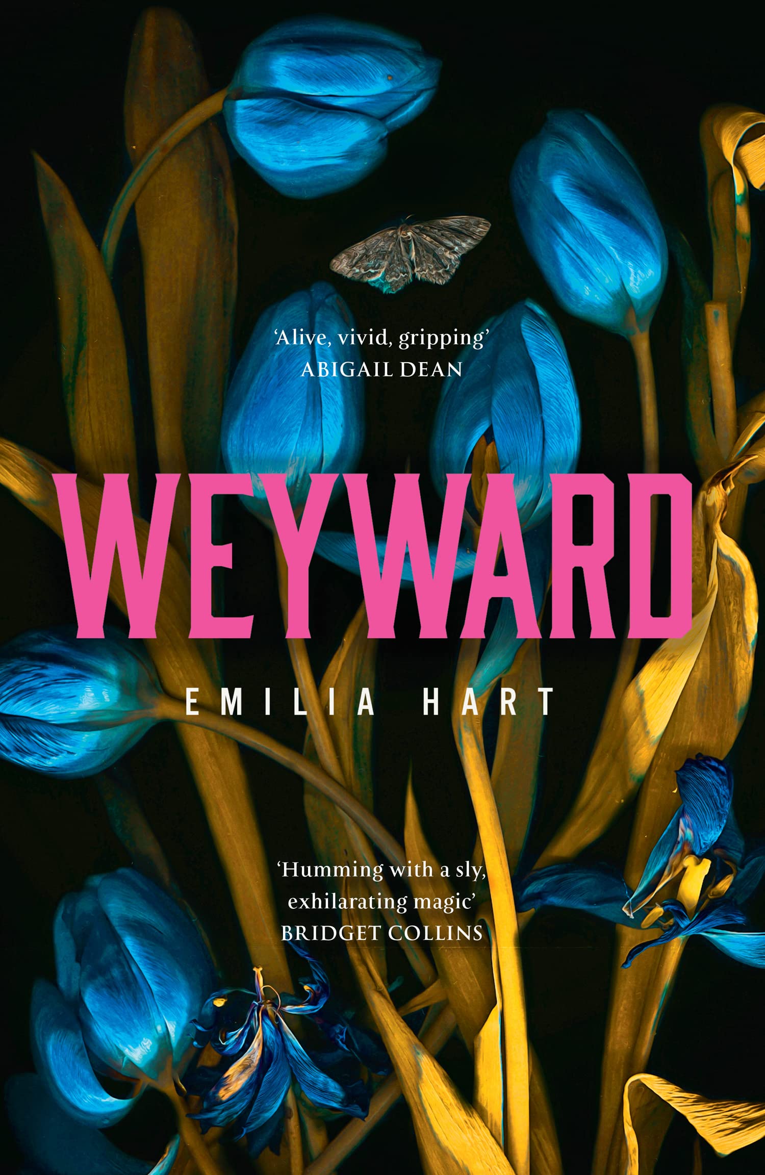 Emilia Hart: Weyward (2023, HarperCollins Publishers Limited)