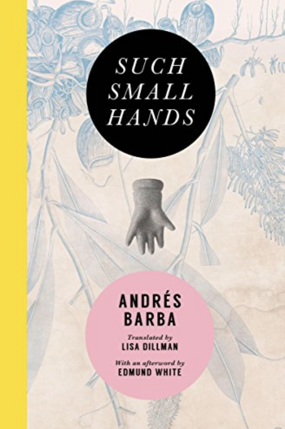 Andrés Barba, Andrés Barba: Such small hands (2017)