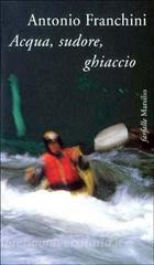 Antonio Franchini: Acqua, sudore, ghiaccio (Paperback, Italian language, 1998, Marsilio)