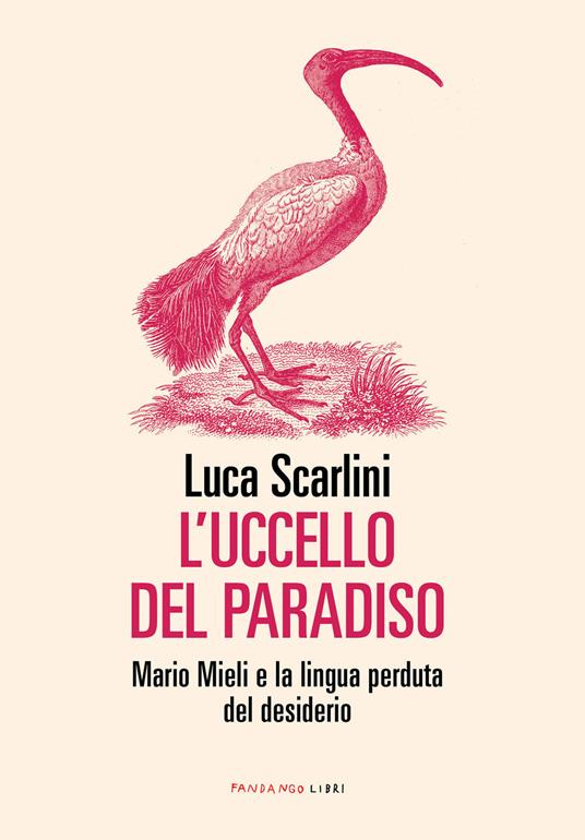 Luca Scarlini: L'uccello del paradiso (Paperback, Italiano language, 2020, Fandango Libri)