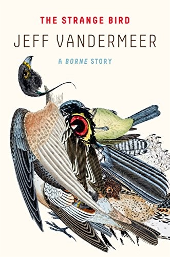 Jeff VanderMeer: The Strange Bird: A Borne Story (EBook, 2017, MCD x FSG Originals)