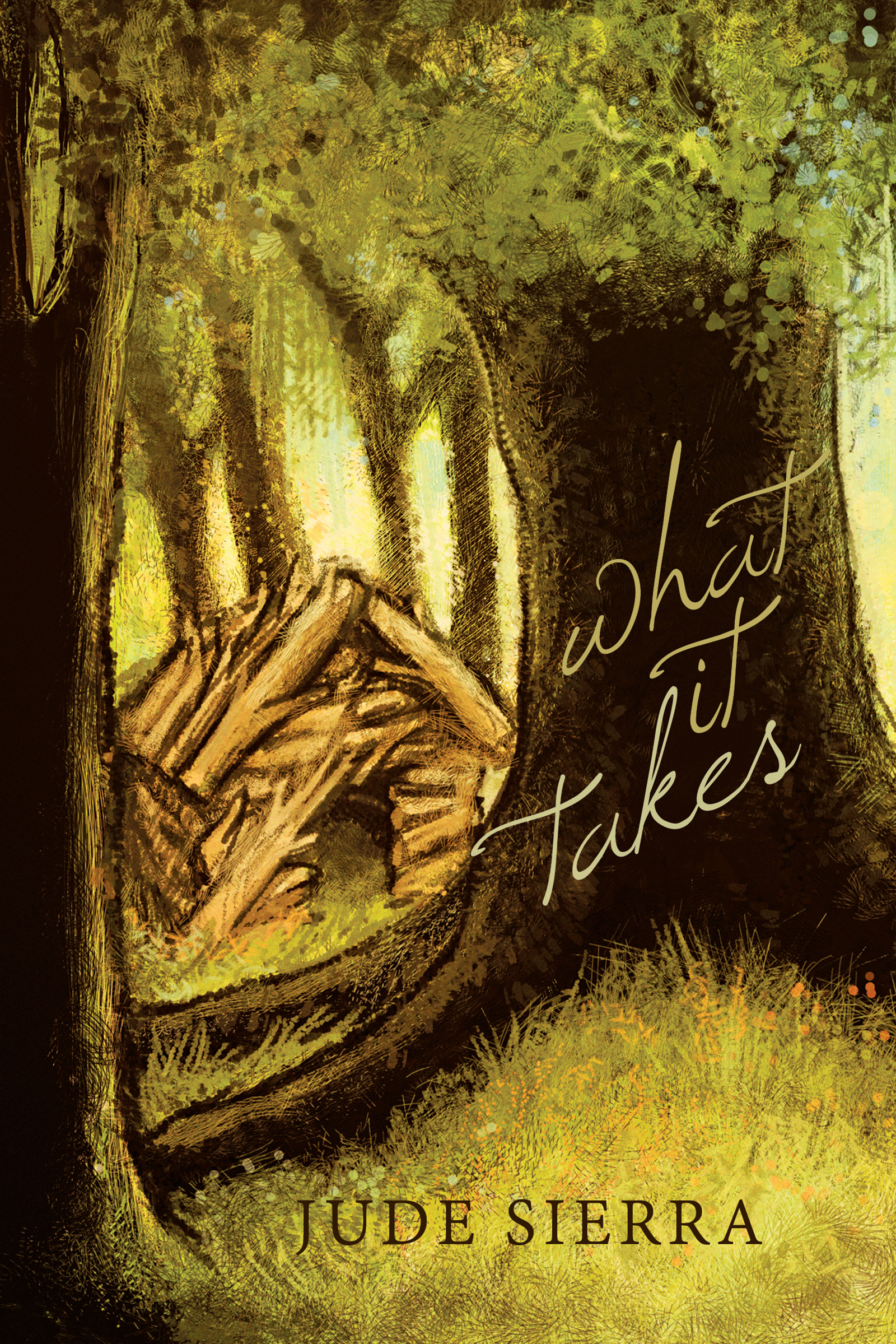 Jude Sierra: What It Takes (Paperback, Interlude Press)