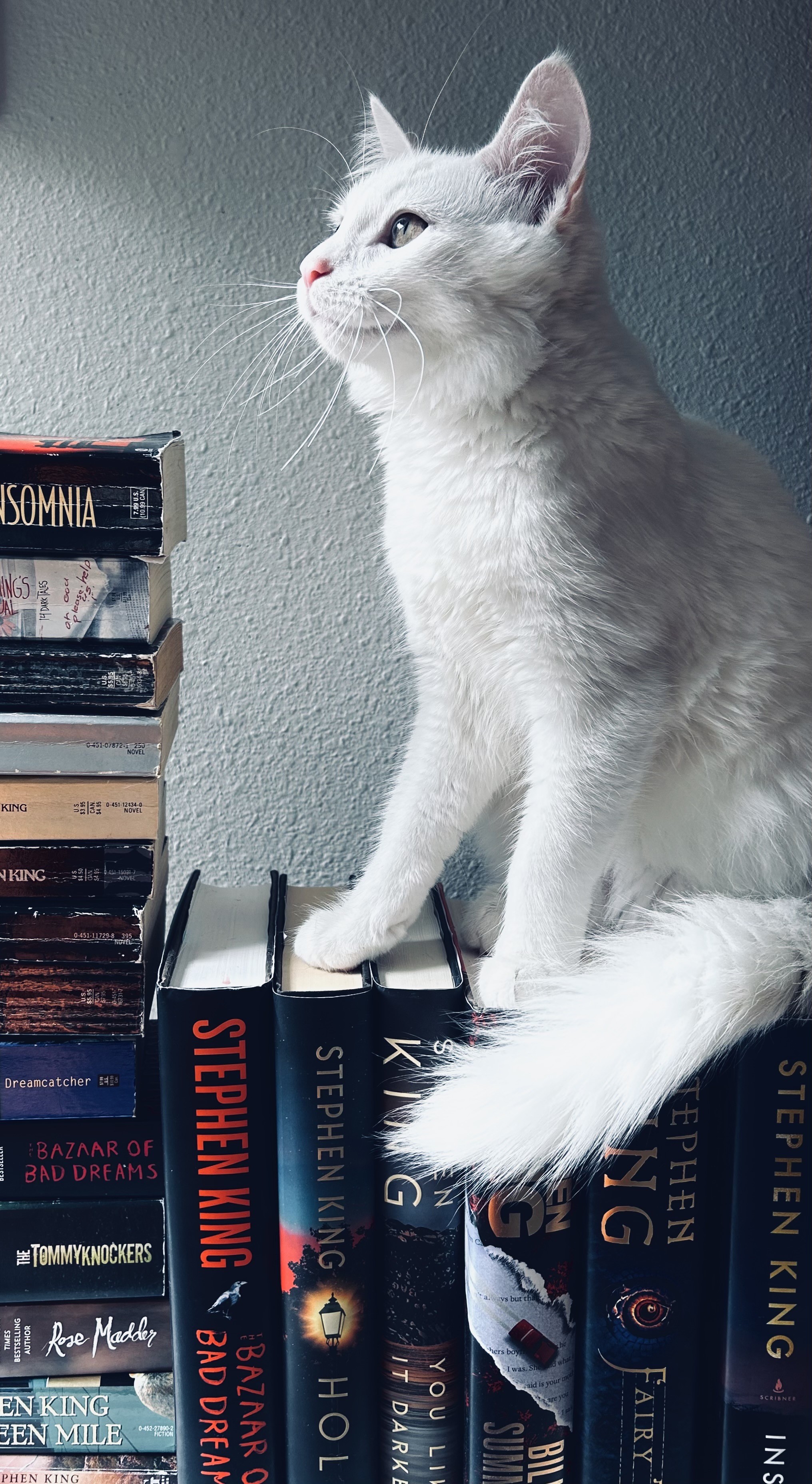 Blume is on top of a bunch of Stephen King books.