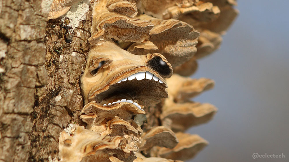 A photo of a tree trunk with layers of bracket fungi on it.  The photo has three vertical strips; on the left is tree bark, down the centre is the fungi, on the right is a dull blue blurred sky. The central section had large canopy of fungi with two small protuberances on its top, which looked to me like an open mouth and slightly squinting bulbous eyes, so I added some teeth, darkened the mouth interior a little, and draw eyes onto the protuberances. It looks like an old face, mid-story, possibly slightly drunk. Sort of. 