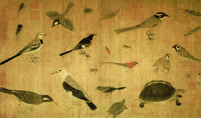  Eng: "Study of wonderful birds and other living creatures" (Xie Sheng Zhen Qiu Tu), a painting by Huang Quan (903-965 | De: "Studie wundervoller Vögel und anderer lebender Kreaturen" (Xie Shen Zhen Qui Tu), ein Gemälde von Huang Quan (903.965) 